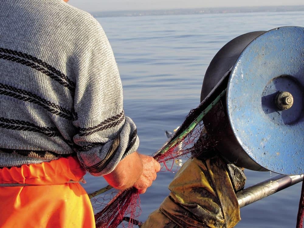 Piccola pesca di Porto Cesareo