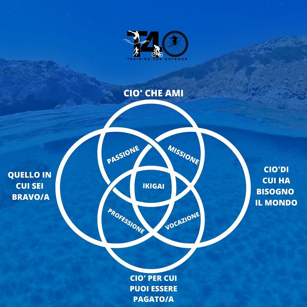 il concetto di ikigai in un grafico