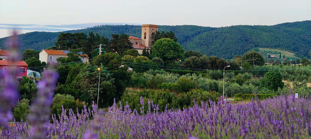 il Festival della Lavanda di Pieve di Santa Luce