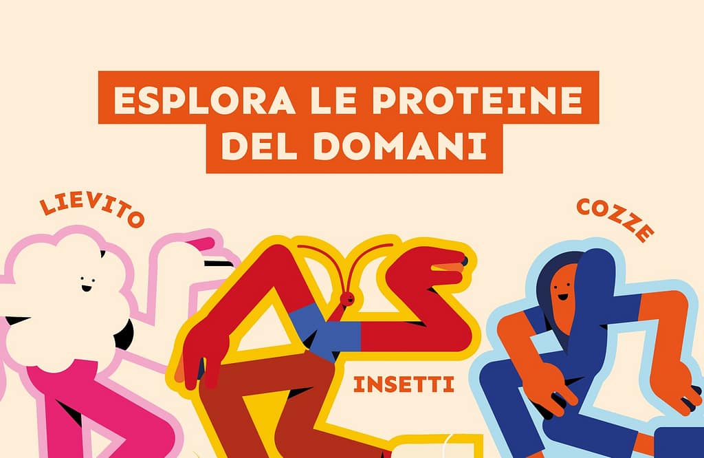 Small Giants decide di scriverne il Natale presentando il suo Panettone artigianale con farina di grillo e gocce di cioccolato fondente.