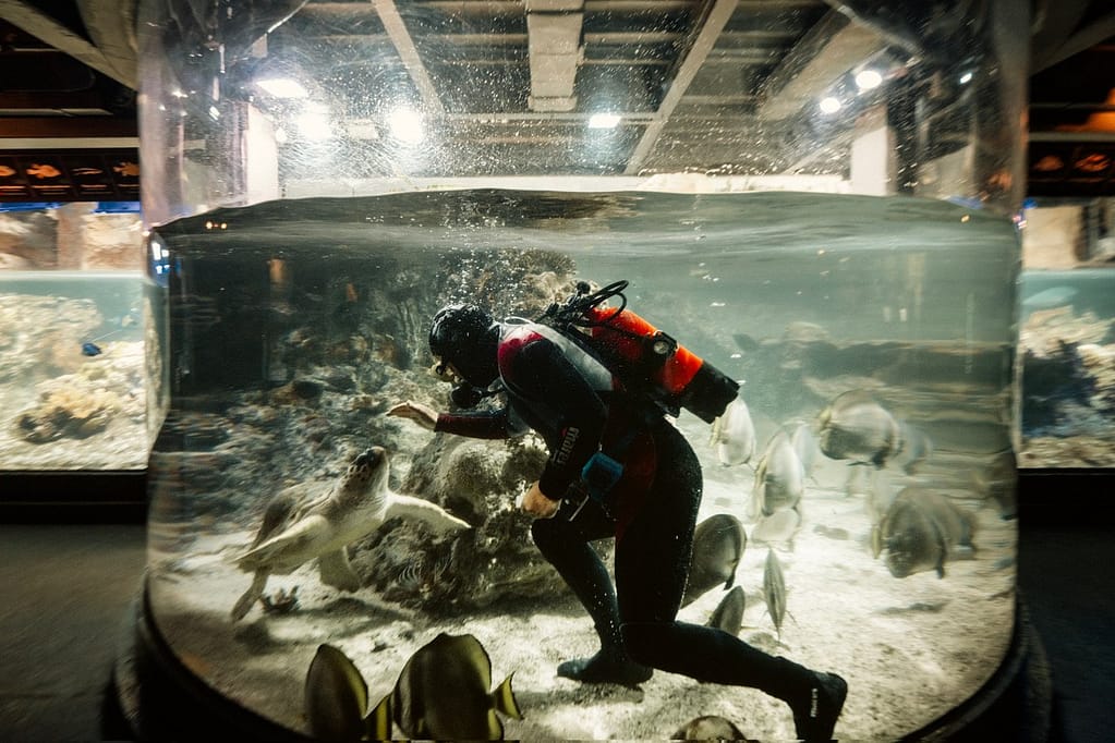 Gianmarco Maraviglia fotografo - Hypersea: Behind the glass