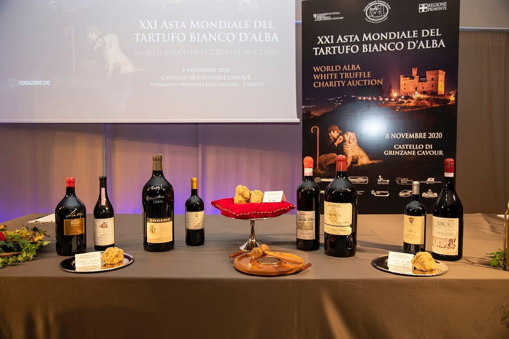 Tartufo Bianco e vini delle Langhe