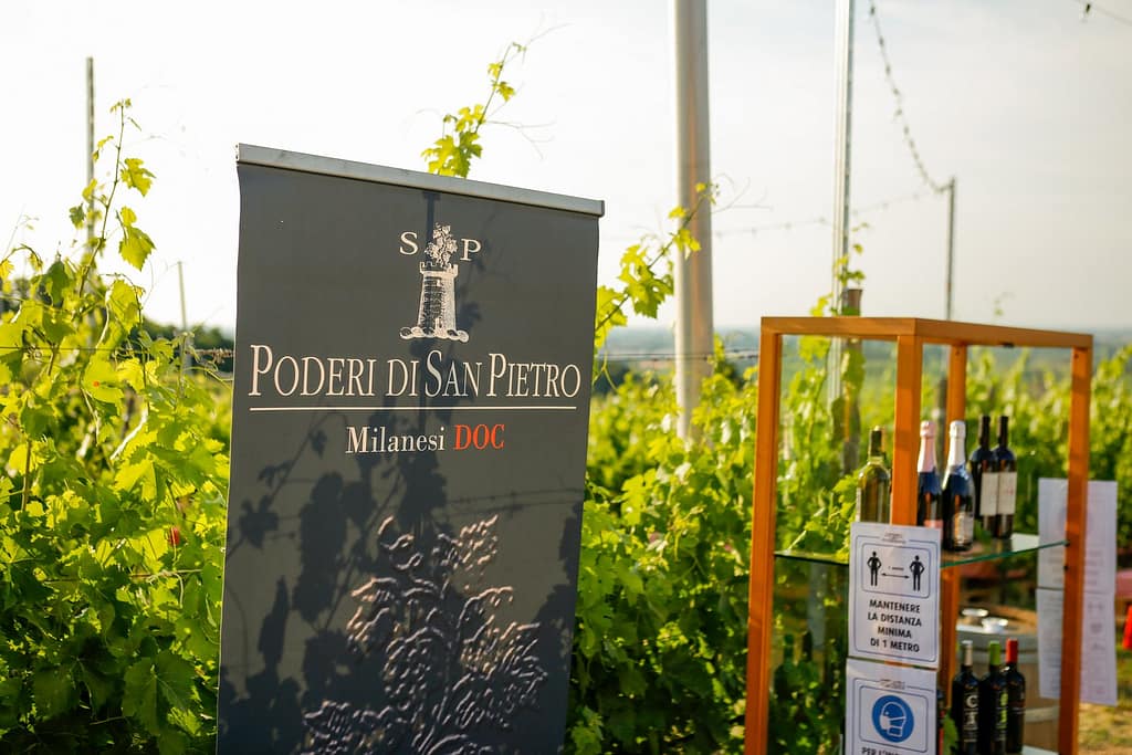 degustazione nella vigna di Poderi di San Pietro, Milano