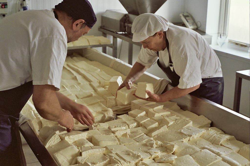 lavorazione formaggio Stichelton