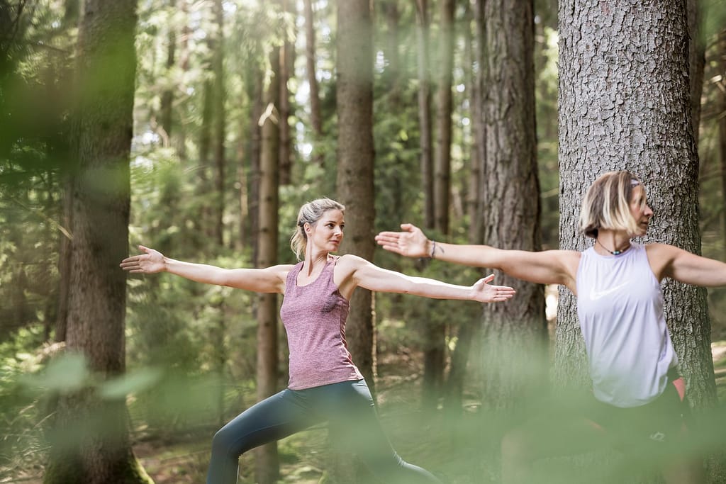 yoga nel bosco, Gnollhof
