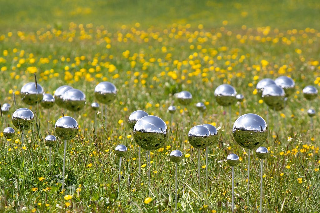 Stefano Caimi, Fairy Ring, 2023