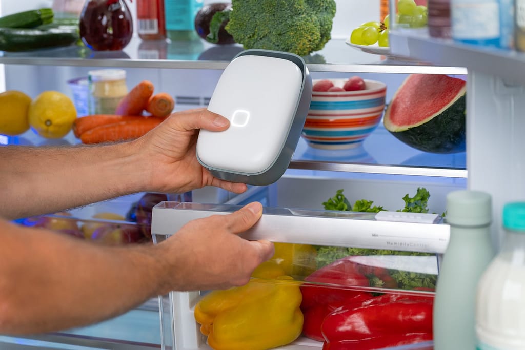 Shelfy nel frigorifero