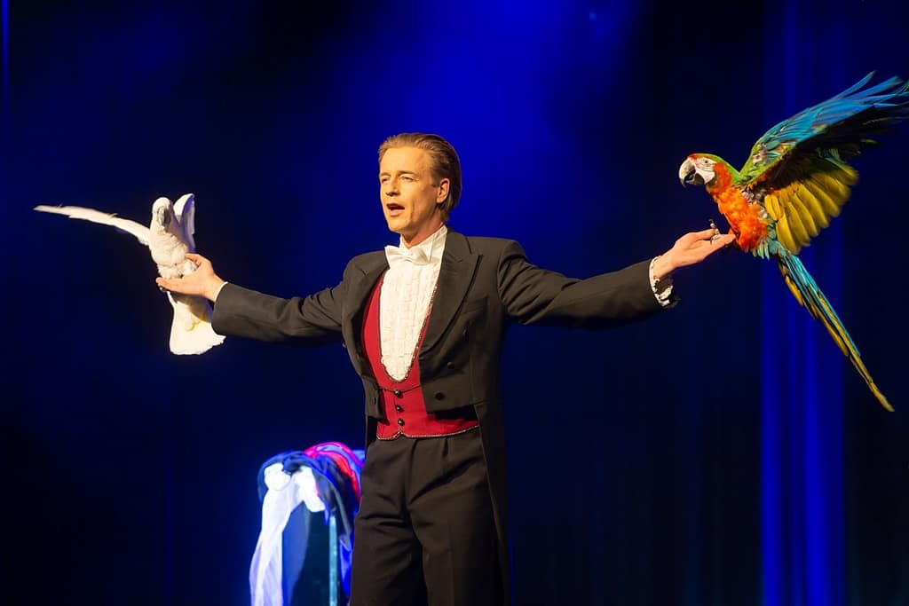 Supermagic Elementi, Jay Niemi