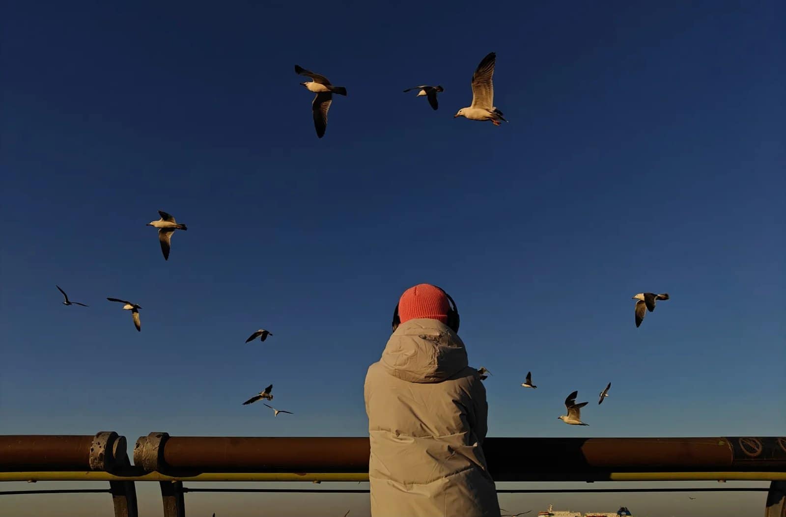 uno scatto con il nuovo realme GT 6