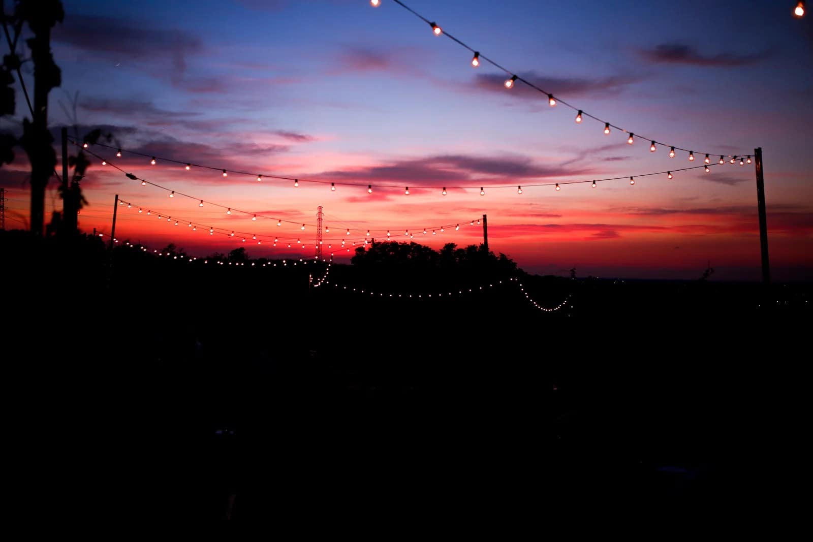 La vigna di Poderi di San Pietro, Milano, al tramonto