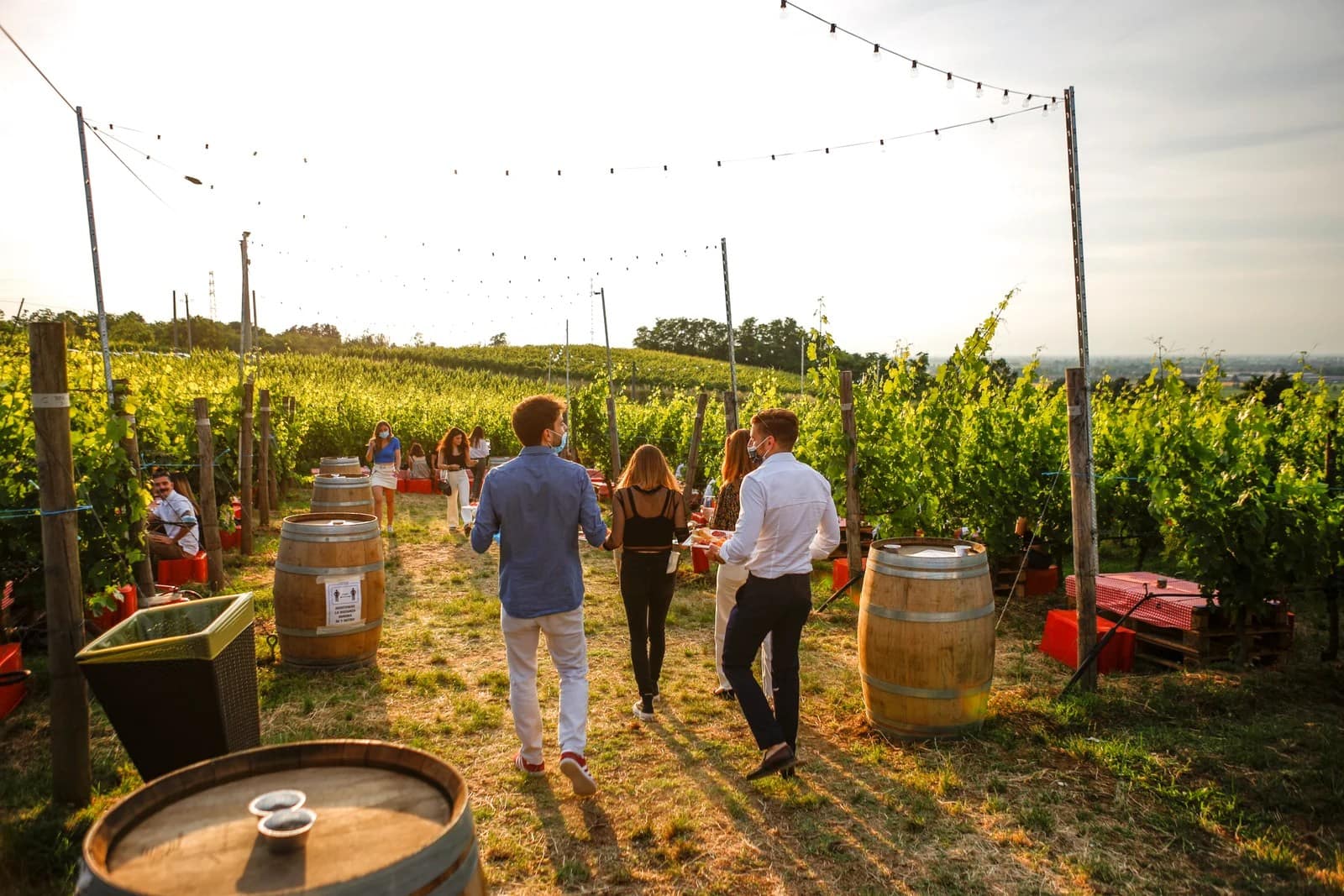 La vigna di Poderi di San Pietro, Milano