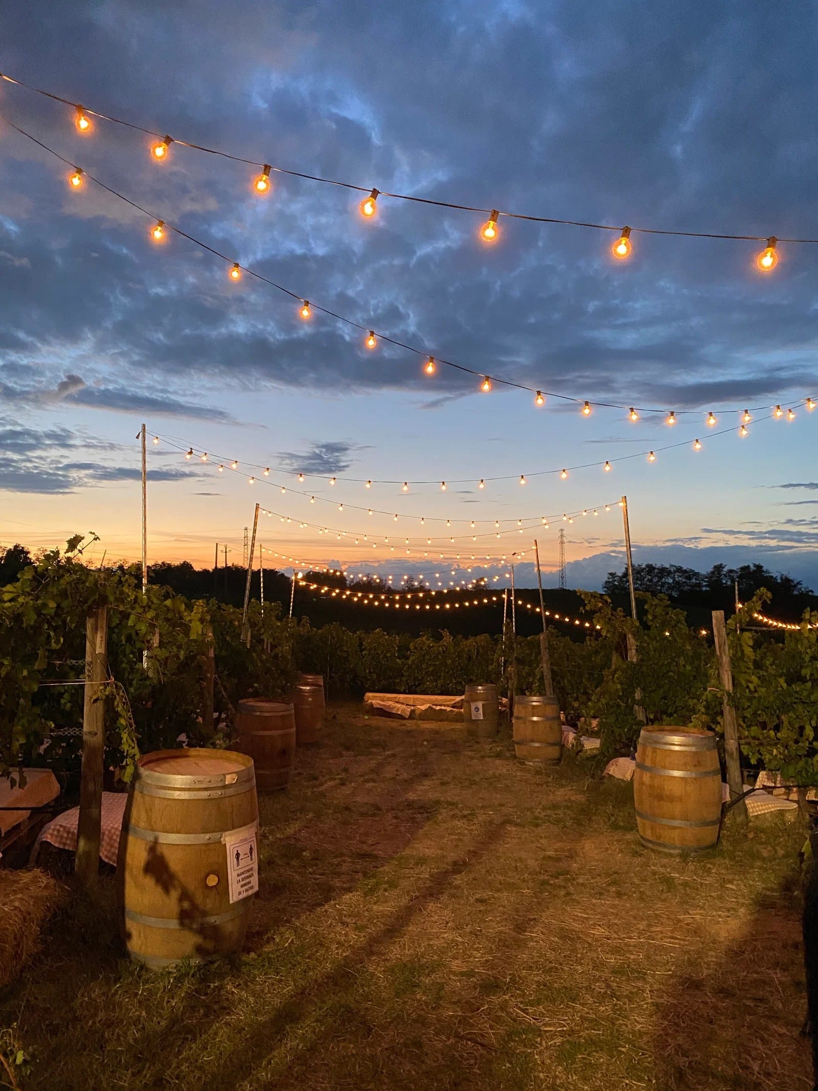 La vigna di Poderi di San Pietro, Milano