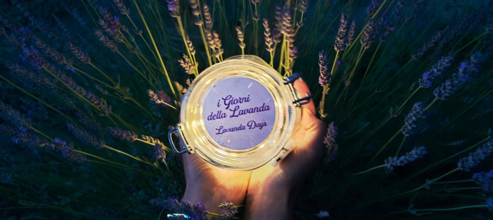 il Festival della Lavanda di Pieve di Santa Luce