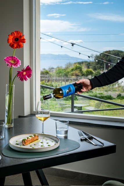 Vigna delle Rose di Casa Setaro