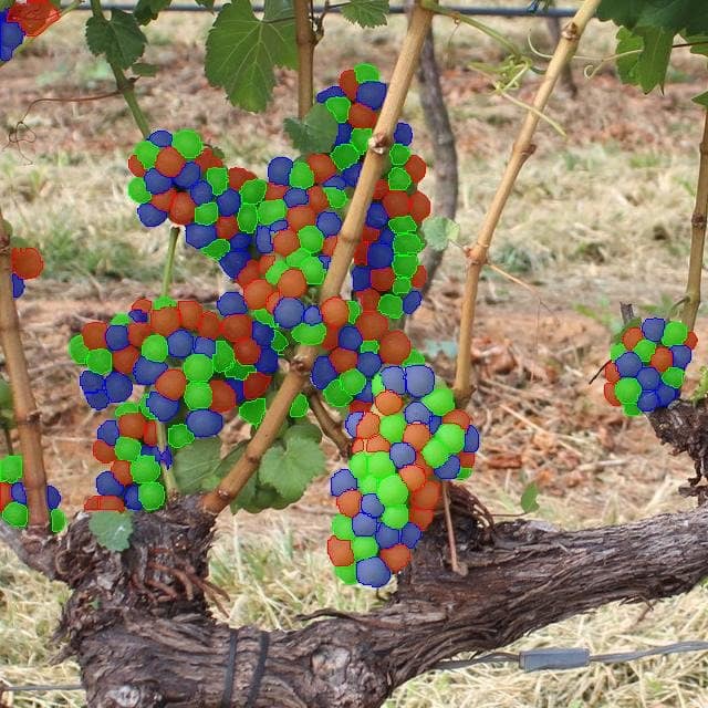 startup Prospecto: monitoraggio intelligente dei vigneti con AI