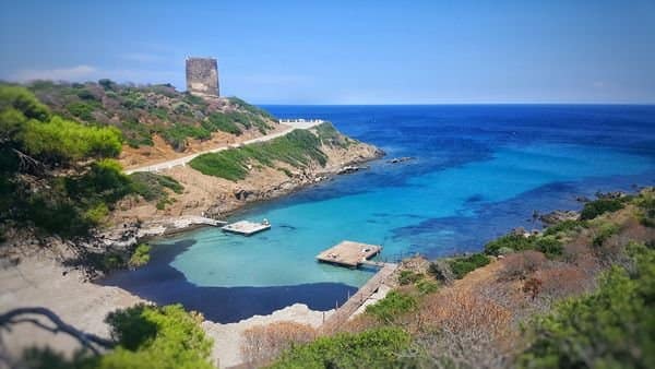 la bellezza incontamnata dell'Isola dell'Asinara