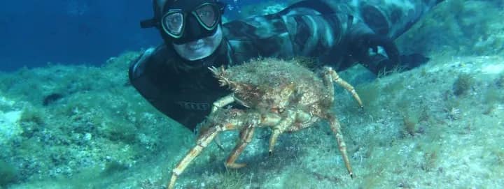 immersione con un granchio