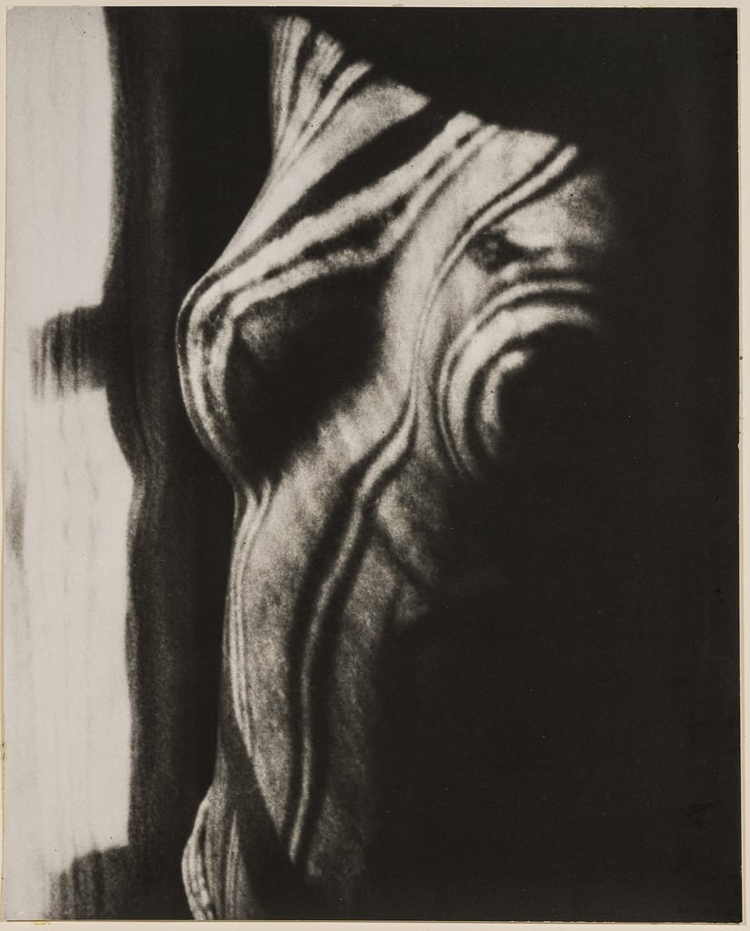 7. Man Ray. Retour à la raison, 1923 circa, stampa in bianco e nero alla gelatina d’argento, 39 x 29.5 cm. Riproduzione da negativo originale, 1976. Courtesy Archivio Storico della Biennale di Venezia - ASAC, Venezia © Man Ray Trust by SIAE 2023