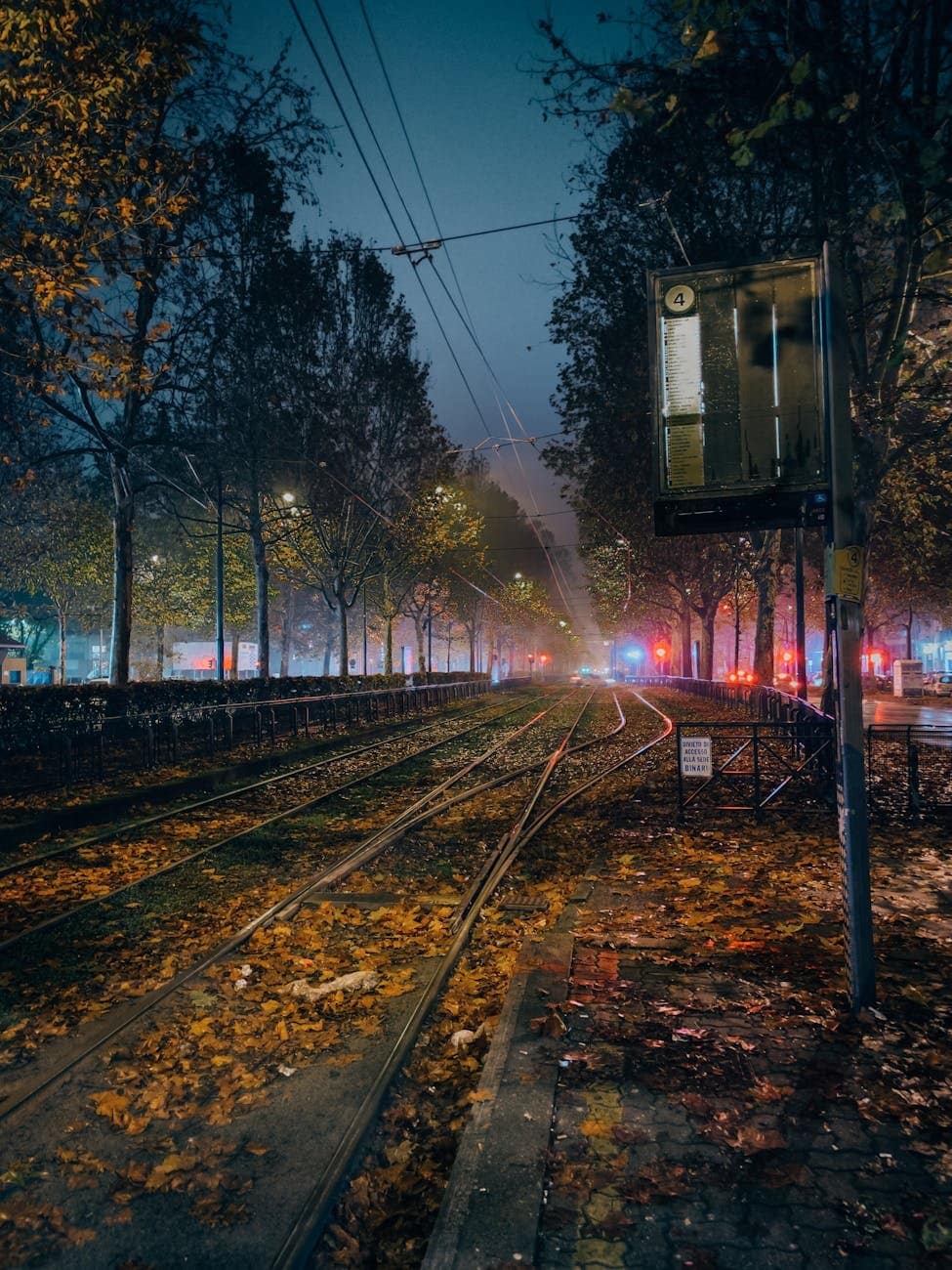 fallen leaves on tram tracks at nights